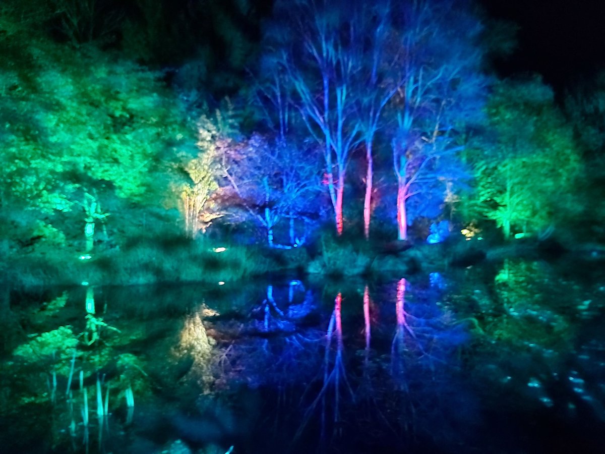 johntXbX's tweet photo. Absolutely brilliant evening at @RHSRosemoor glow, terrific displays, great atmosphere, wonderful Christmas fayre and a delicious meal as well. #inthechrostmasspirit https://t.co/1hu1tWgOHX