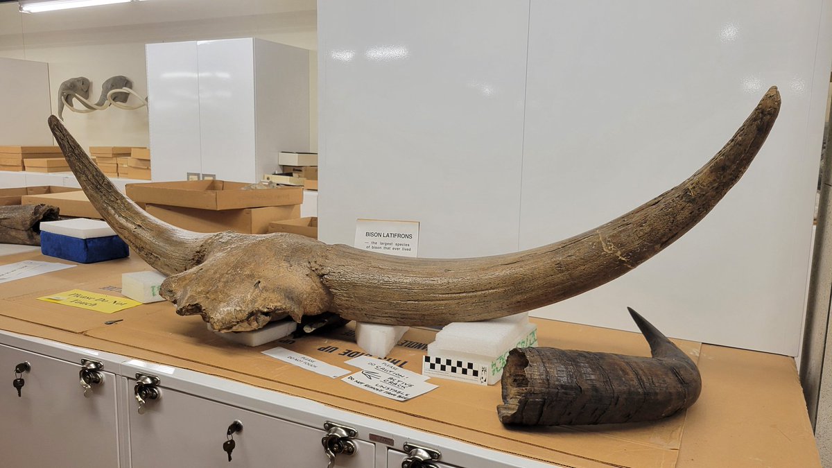 Ashley W Poust tweet media