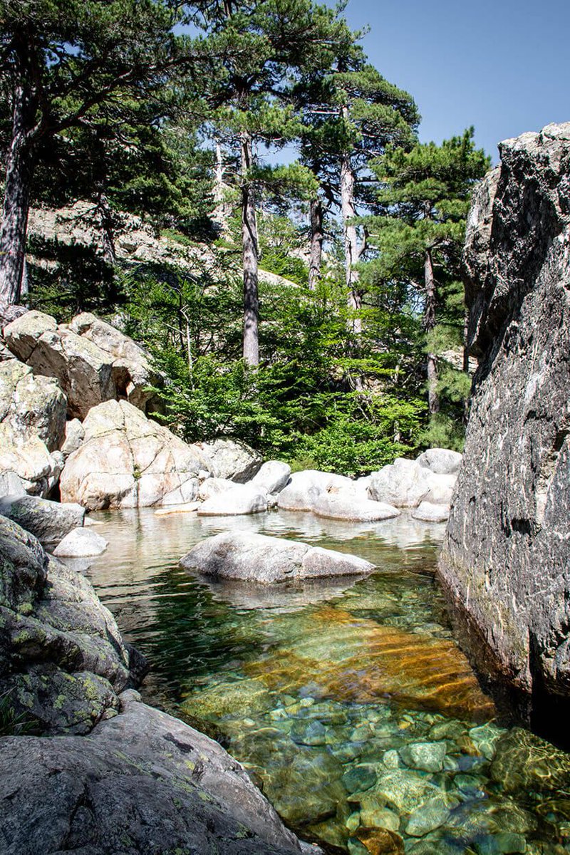 FreeRTravellers's tweet photo. Go on a mini-trek to Cascades des Anglais
Join us at the Cascades des Anglais waterfall, where we bathe in the icy mountain water surrounded by pine forests and towering mountains. 
https://t.co/qMZ7rngFWv 
#corsica#corse #france https://t.co/jvpxZUG7hV