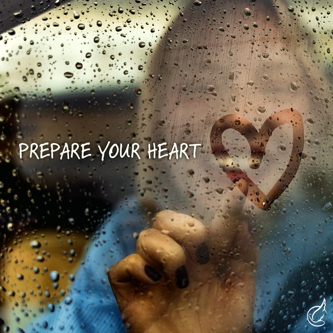 andrewwommack's tweet image. Ready for this week’s #FreeTeachingFriday?!
True believers don&apos;t plan to depart from the Lord - they just fail to prepare their hearts before temptation comes suddenly upon them. Be prepared for the storms of life by learning how David prepared his heart in advance for adversity.…