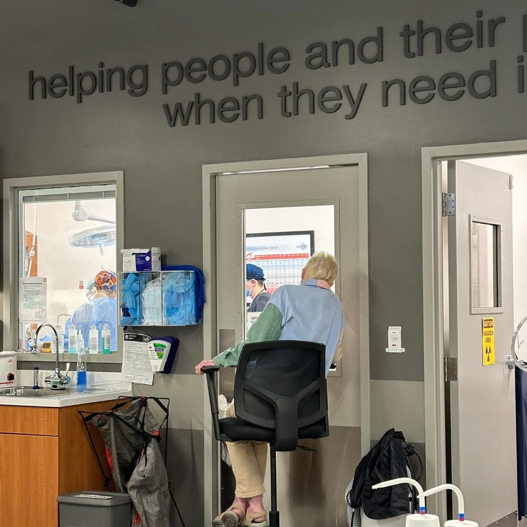 VEGERforpets's tweet image. We get it—being away from your pet during an emergency is ruff. 🐾💔 That&apos;s why you can stay with your pet the entire time, even through surgery (yep, we have a window for that 👀). 

Would you watch your pet’s surgery? (We know it&apos;s not for everyone!)

#vegolution #pethospital