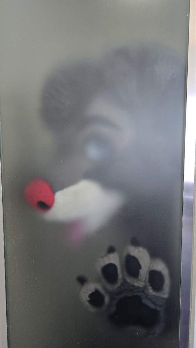 *Notices you, barely*  

#FursuitFriday
📷: <a href="/RyeTheYote/">Rye</a>
🪡: <a href="/FursuitParade/">Fursuit Parade</a>