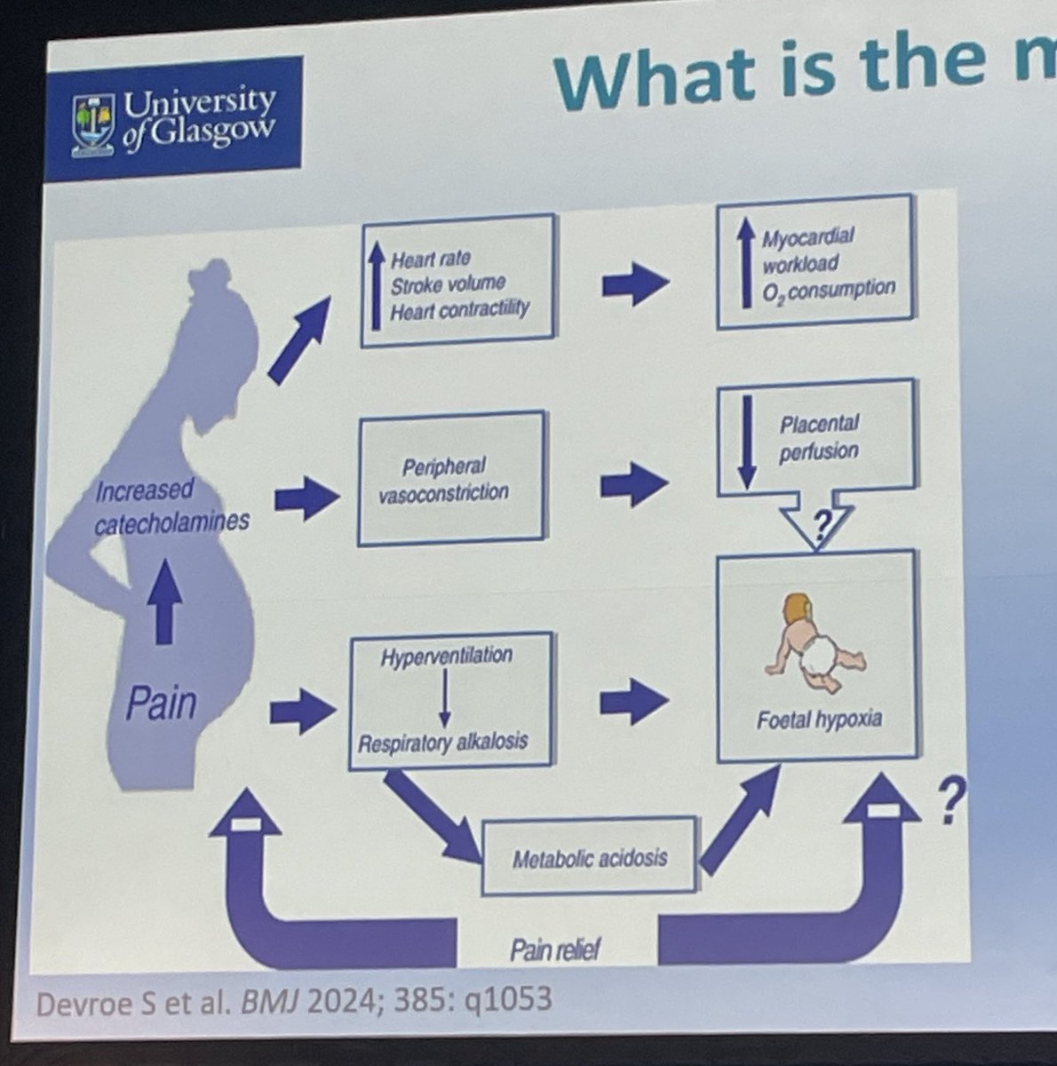 Scottish Maternal Critical Care Network tweet media