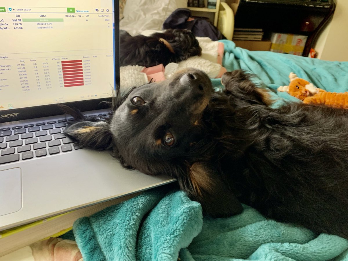 “WHAT U DOING? WESTLEY HELP”