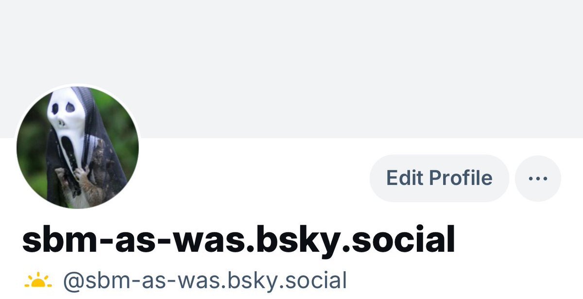 SBM as was tweet media