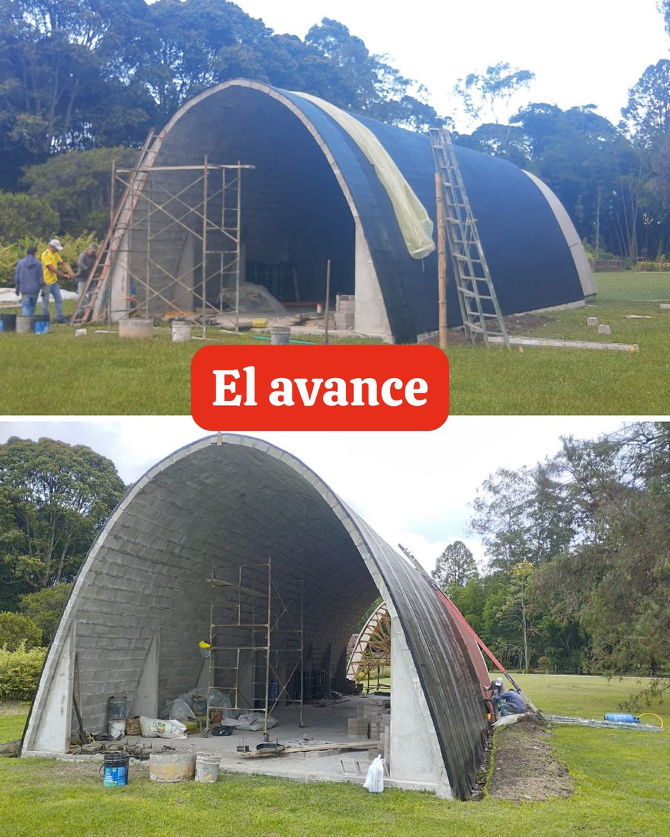 ✨El Odeón Escondido 🌿 🎶 tweet media