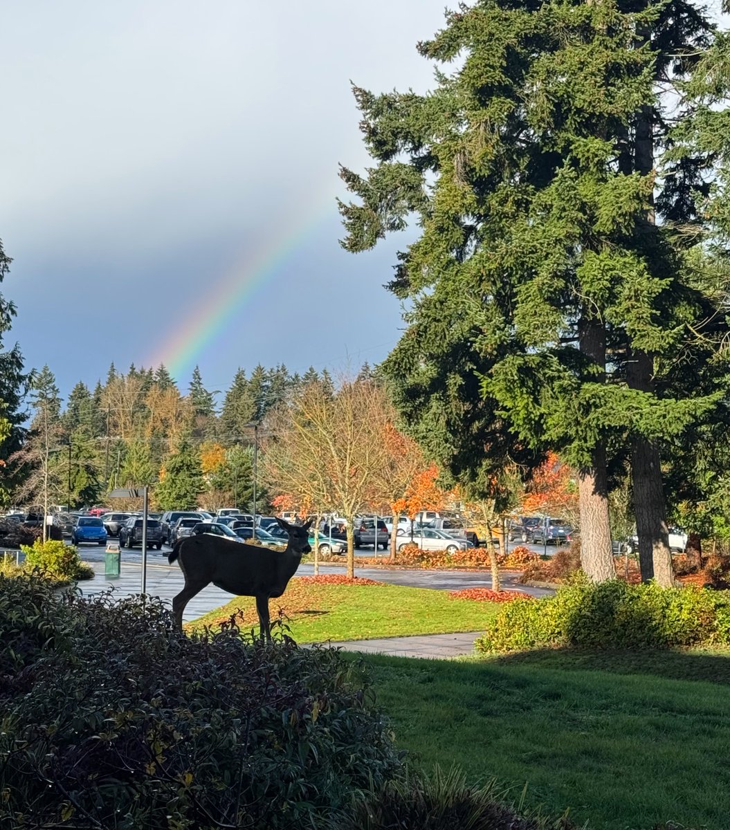 Rooted in nature, synced with the seasons. Campus life at PC means learning alongside the locals. 🌈🦌✨ #PCMoments #PNWWonderland #CampusMagic