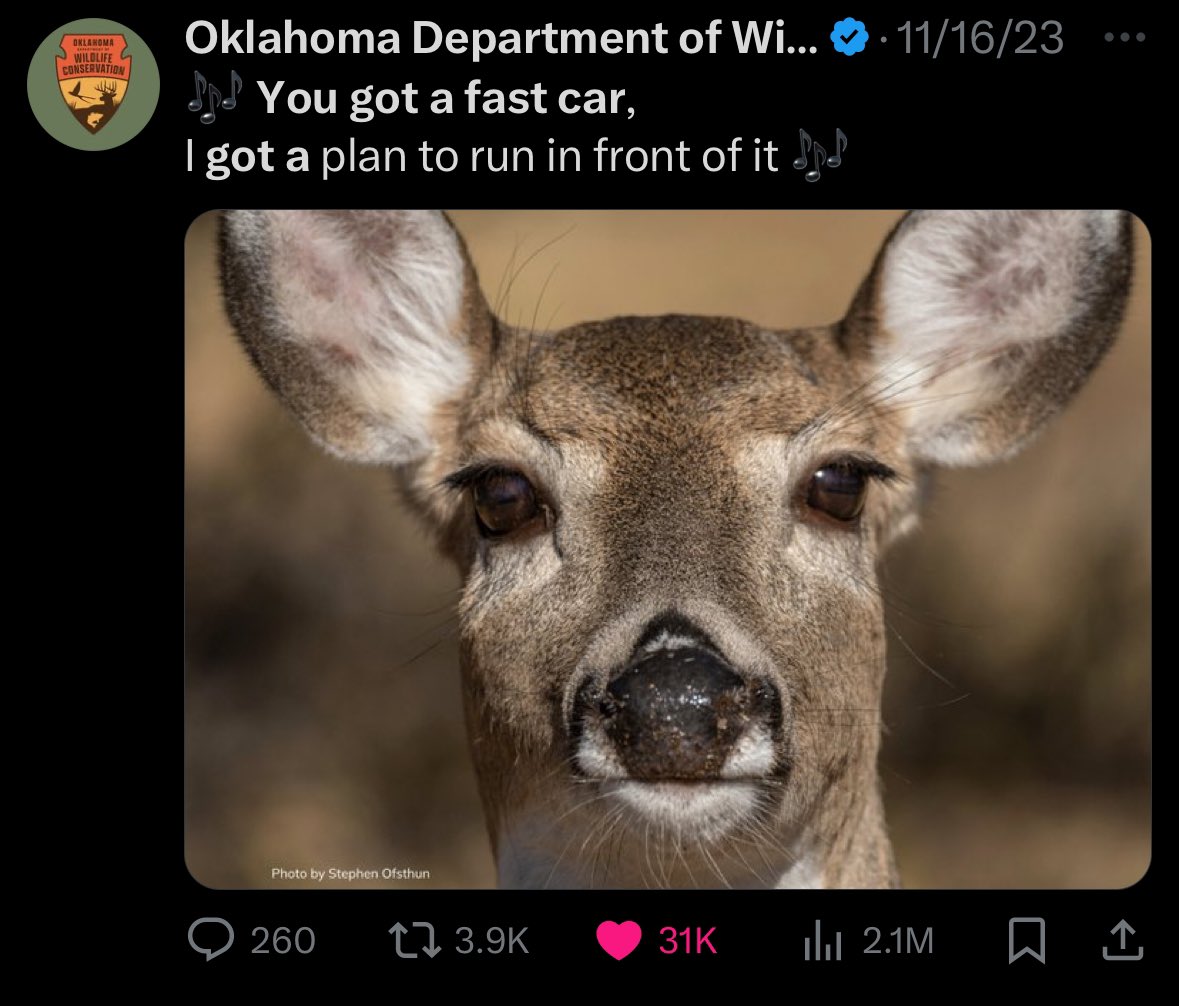 Sarah tweet media
