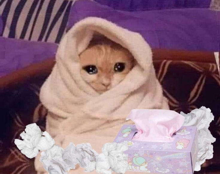manuelacv24's tweet photo. Mood: 
Diosito ya no quiero ser tú mejor guerrera. 😪🫠🤧🤕 https://t.co/dbEIaSf1t0