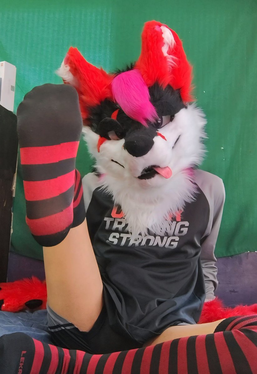 CashTheFox tweet media