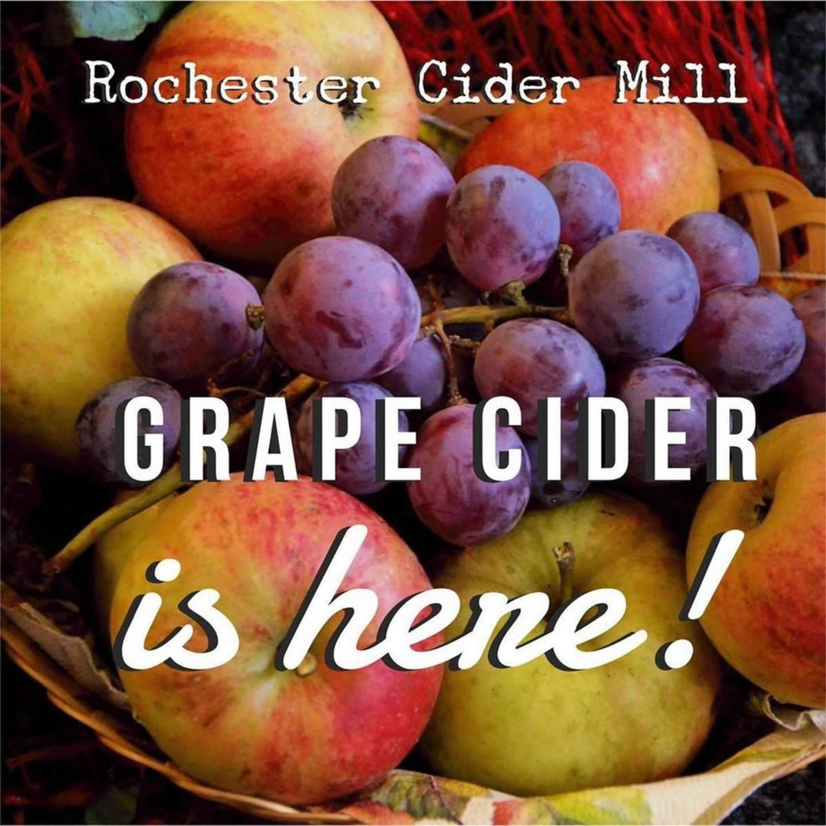 rochestercider's tweet photo. ๐GRAPE CIDER NOW AVAILABLE๐
A longtime favorite, itโs one of our most popular ciders that we press.
We make it with a blend of apples and grapes for an amazing, sweet cider. ๐Open 9- 5:30
#RochesterCiderMill #MichiganCider #AppleCider #FreshPressed #MichiganCiderMills #Cider https://t.co/TxUS3B7hvI