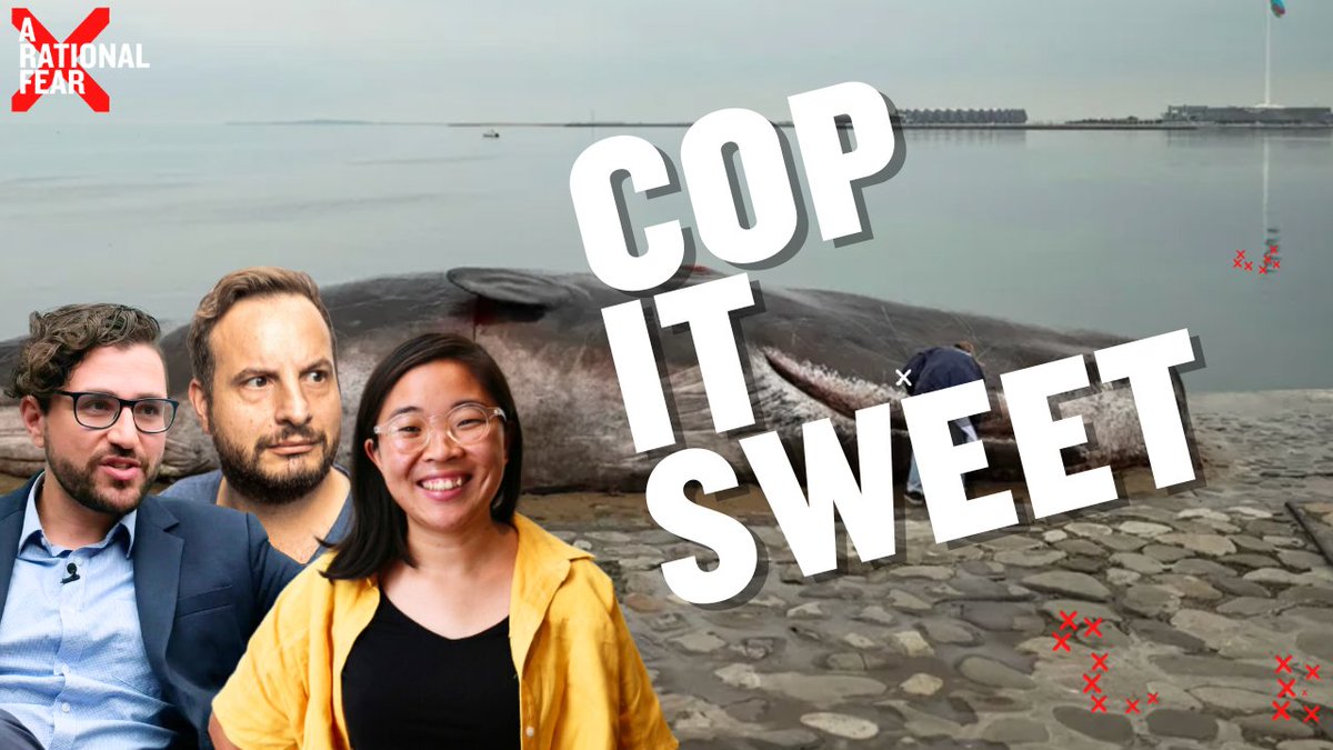 This week on <a href="/ARationalFear/">A Rational Fear</a> we head to Baku for COP29 with <a href="/RichieMerzian/">Richie Merzian</a> and <a href="/lmdo/">Linh Do</a> — we talk whales, celebs, and negotiations.
arationalfear.substack.com/p/direct-from-…