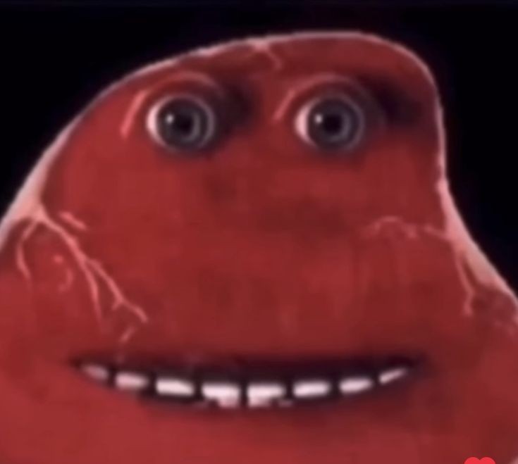 izzyglizzy69's tweet photo. meat reveal @webbidee https://t.co/z3Z29OJFag
