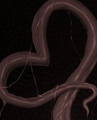 Sadah0e's tweet photo. " Mmnf.. "

Sadako was not expecting her to just SLAM into her like that. Or begin making out with her either.. Although, Cassandra did not think that through.

Didn't take long for Sadako's long tongue to begin exploring Cassandra's mouth. https://t.co/6rjLLGF7xZ