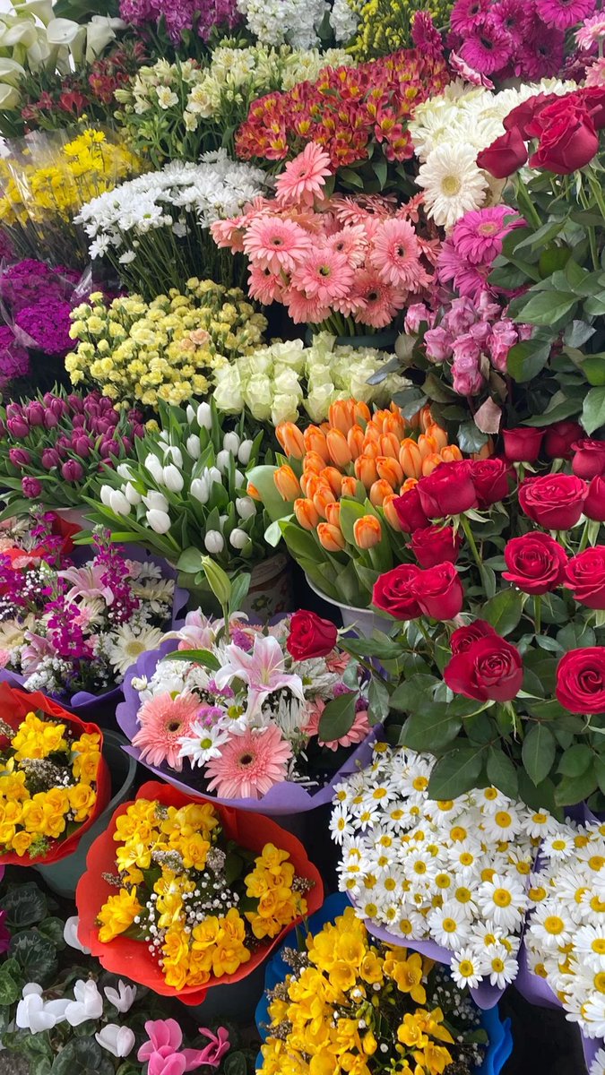 i3Moment's tweet photo. Flowers https://t.co/ArRbtGXZ1N
