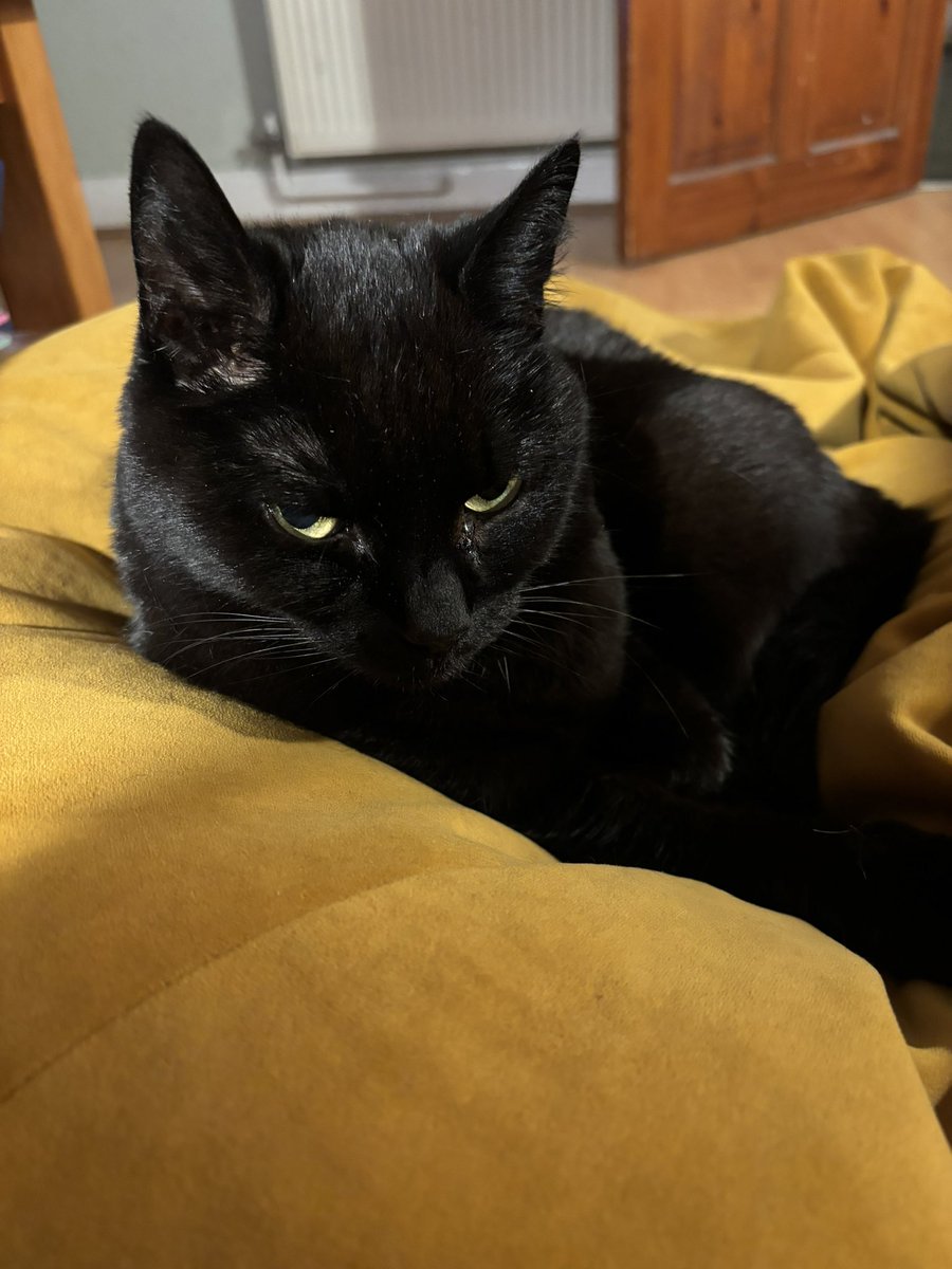 Would love to see you on blue sky, same username