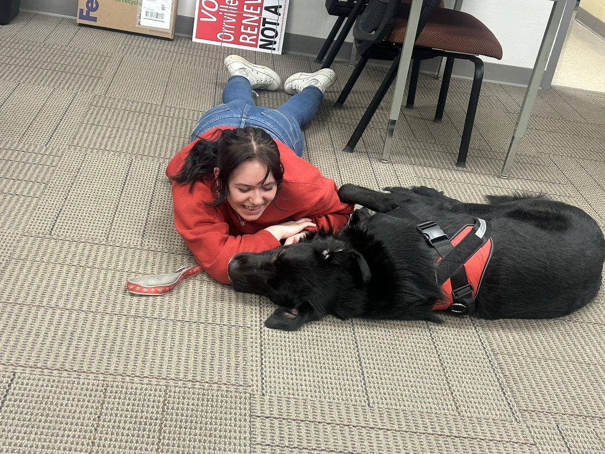 Buster072723's tweet photo. Had a great day today🐾🐕‍🦺 https://t.co/A6hqsN7kLE