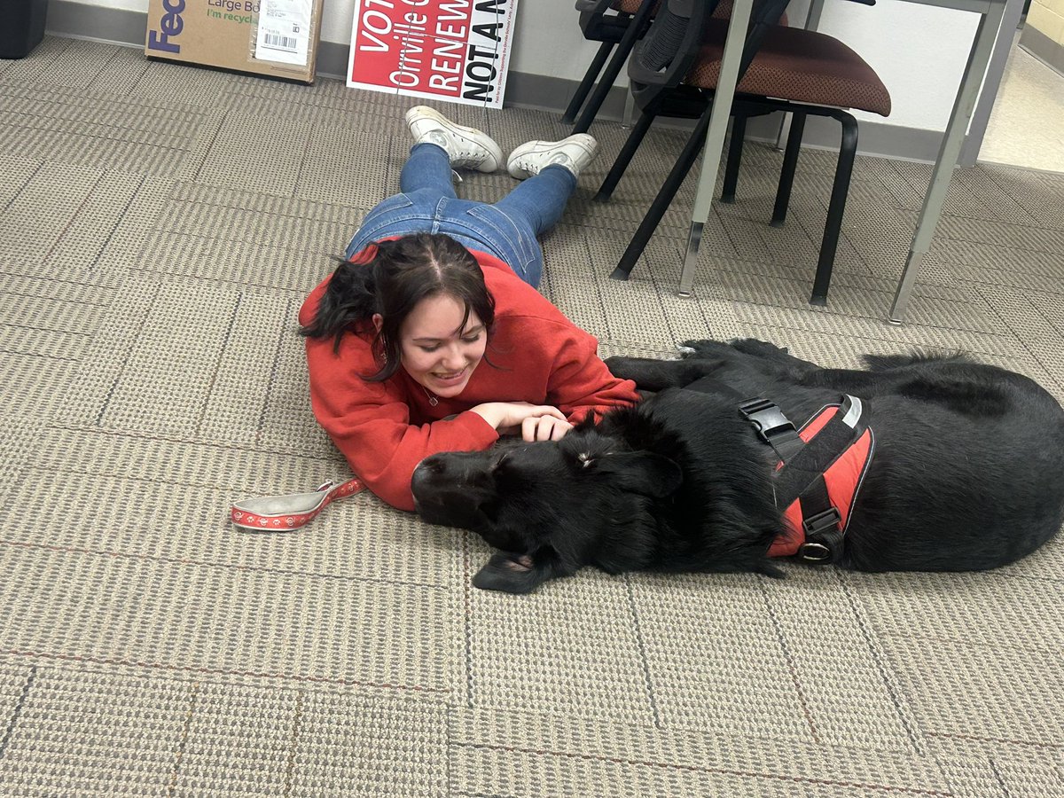 Buster072723's tweet photo. Had a great day today🐾🐕‍🦺 https://t.co/A6hqsN7kLE