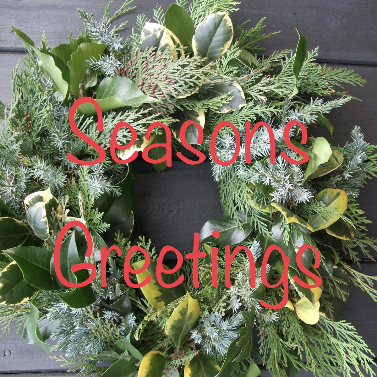 Start getting in the festive spirit on this one day willow workshop - Saturday 23rd November - mailchi.mp/3038b3e0eabb/k…