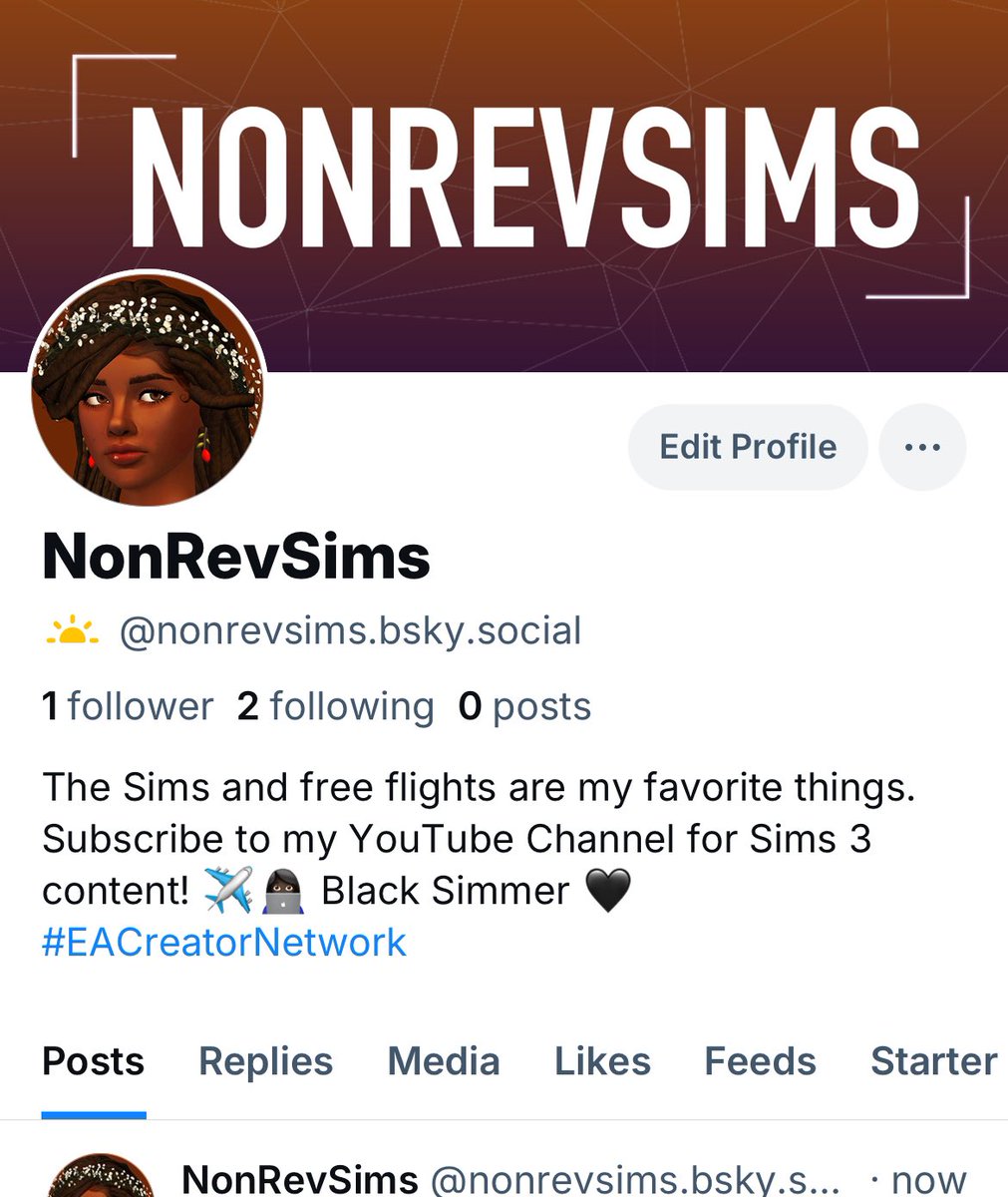 NonRevSims tweet media