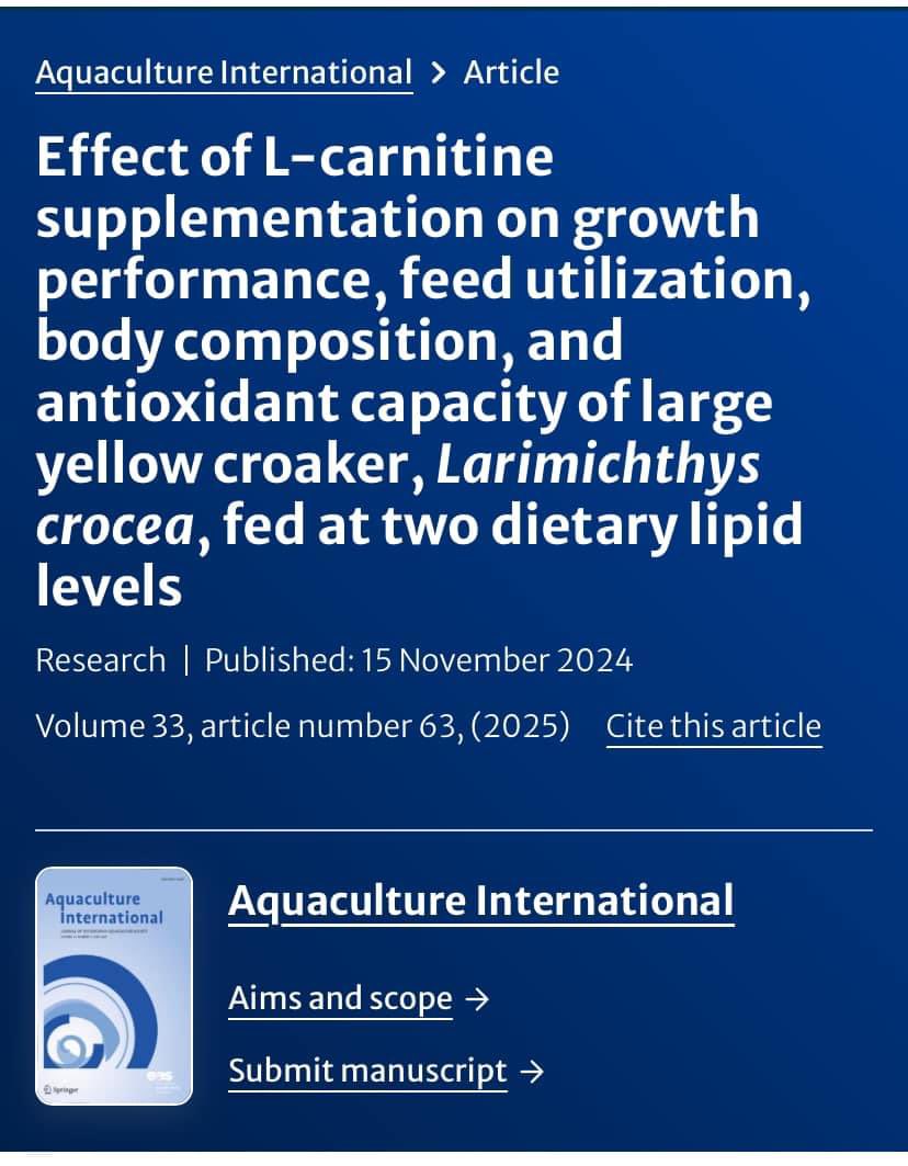 Mchele Limbu tweet media