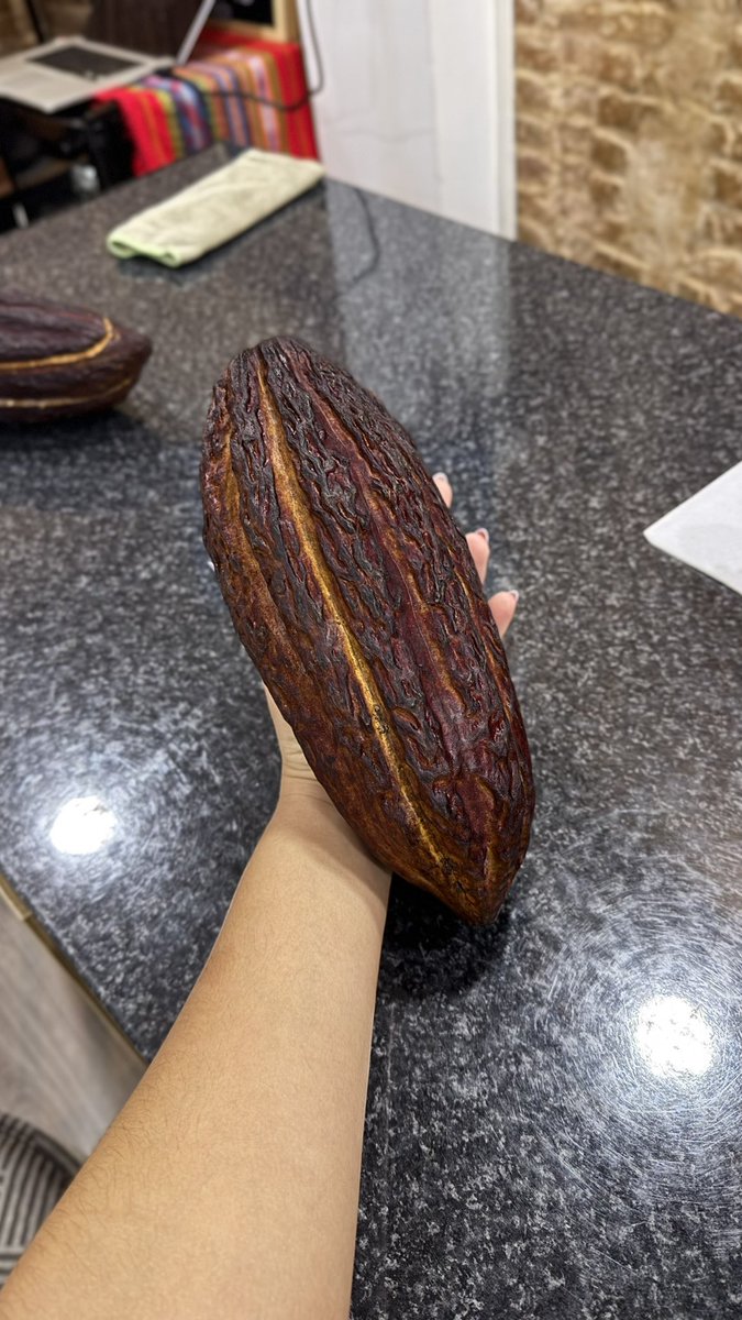 HyunMarie's tweet photo. Aprendiendo a fondo sobre lo que más me gusta: el cacao 🤩 Menuda tarde 👉https://t.co/jqdBa0P0II https://t.co/LyZxfUyY2r