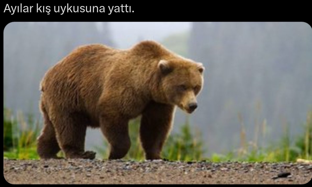 acelecevabimvar's tweet photo. @kediastrolog https://t.co/CKNrFnKMLx