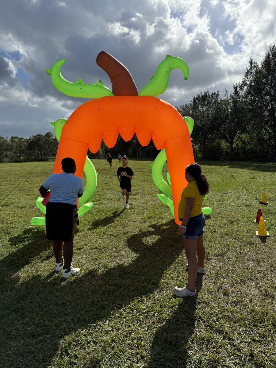 Coach Herrera, Gaudio & Kannal tweet media