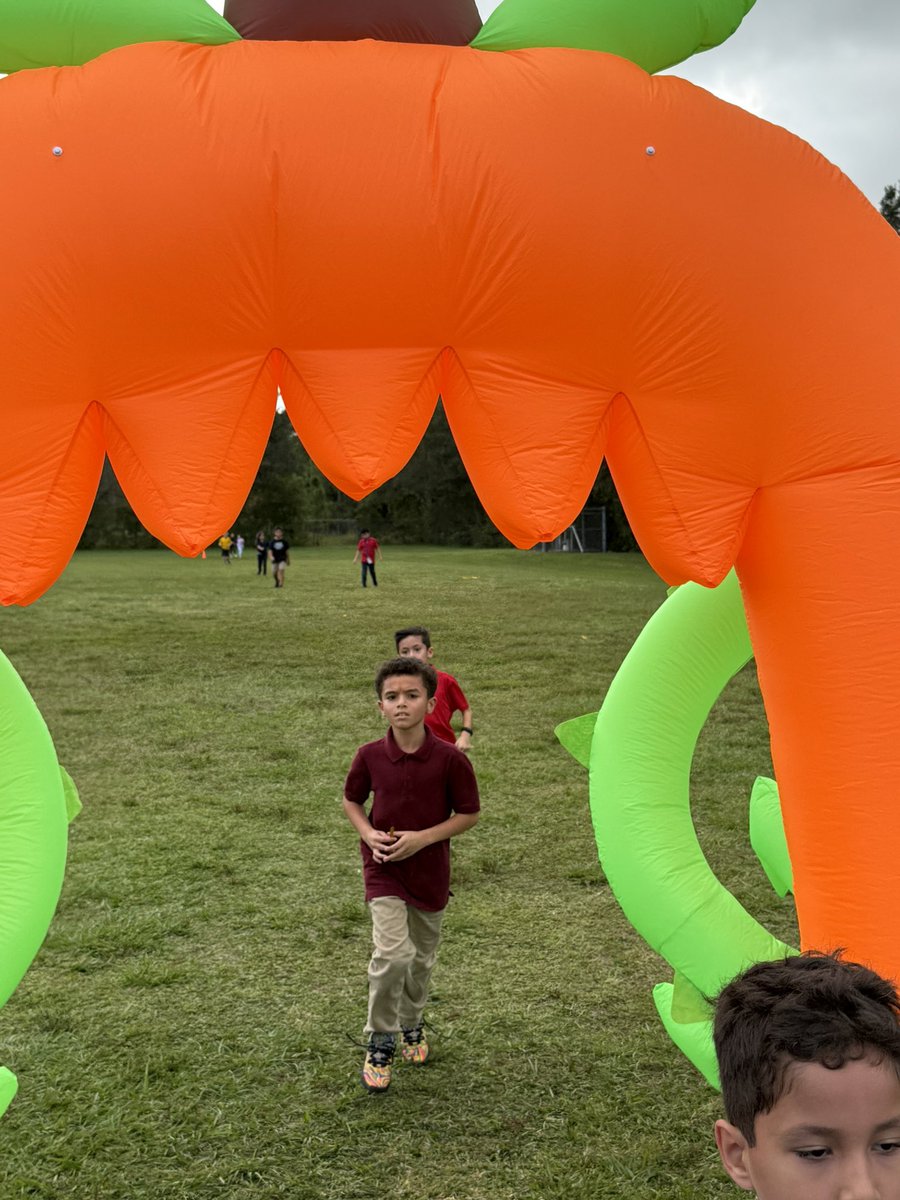 Coach Herrera, Gaudio & Kannal tweet media