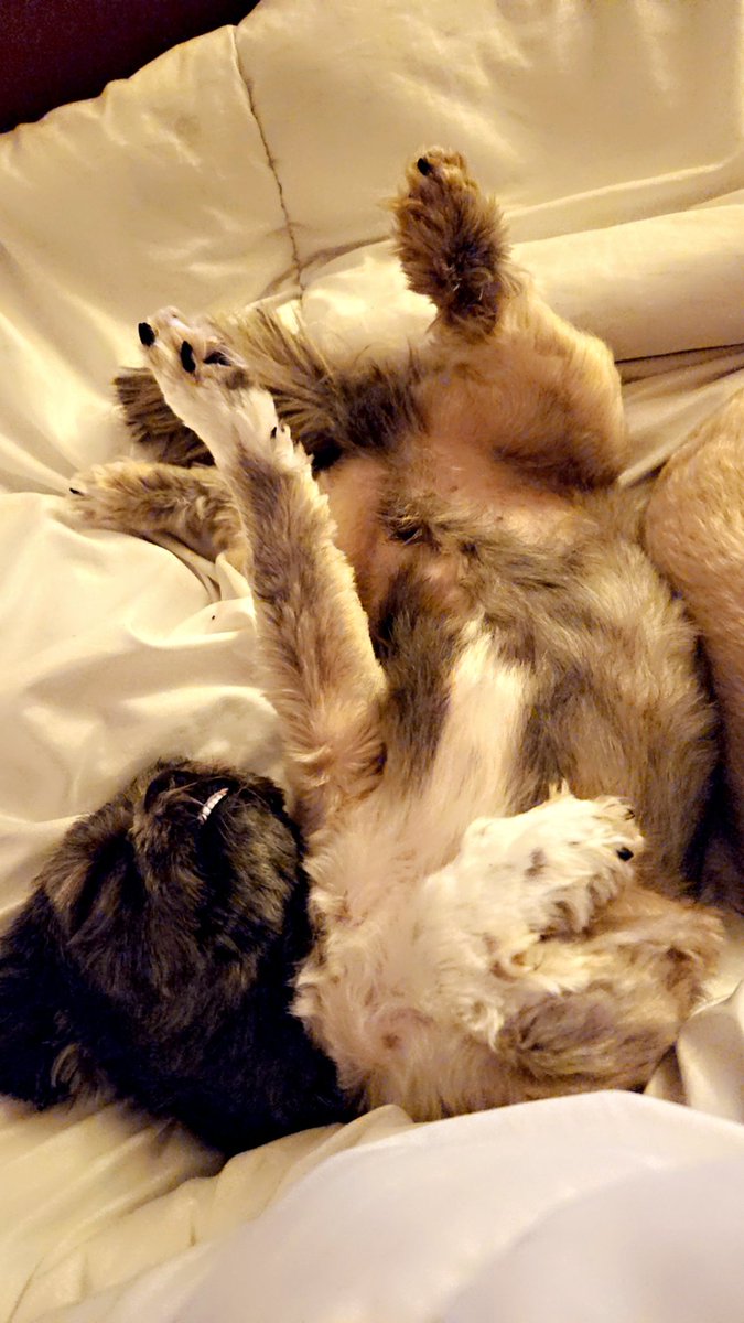 💖🦄Emz🦄💖 tweet media