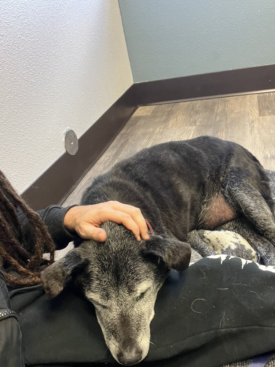 猿堆叠 tweet media