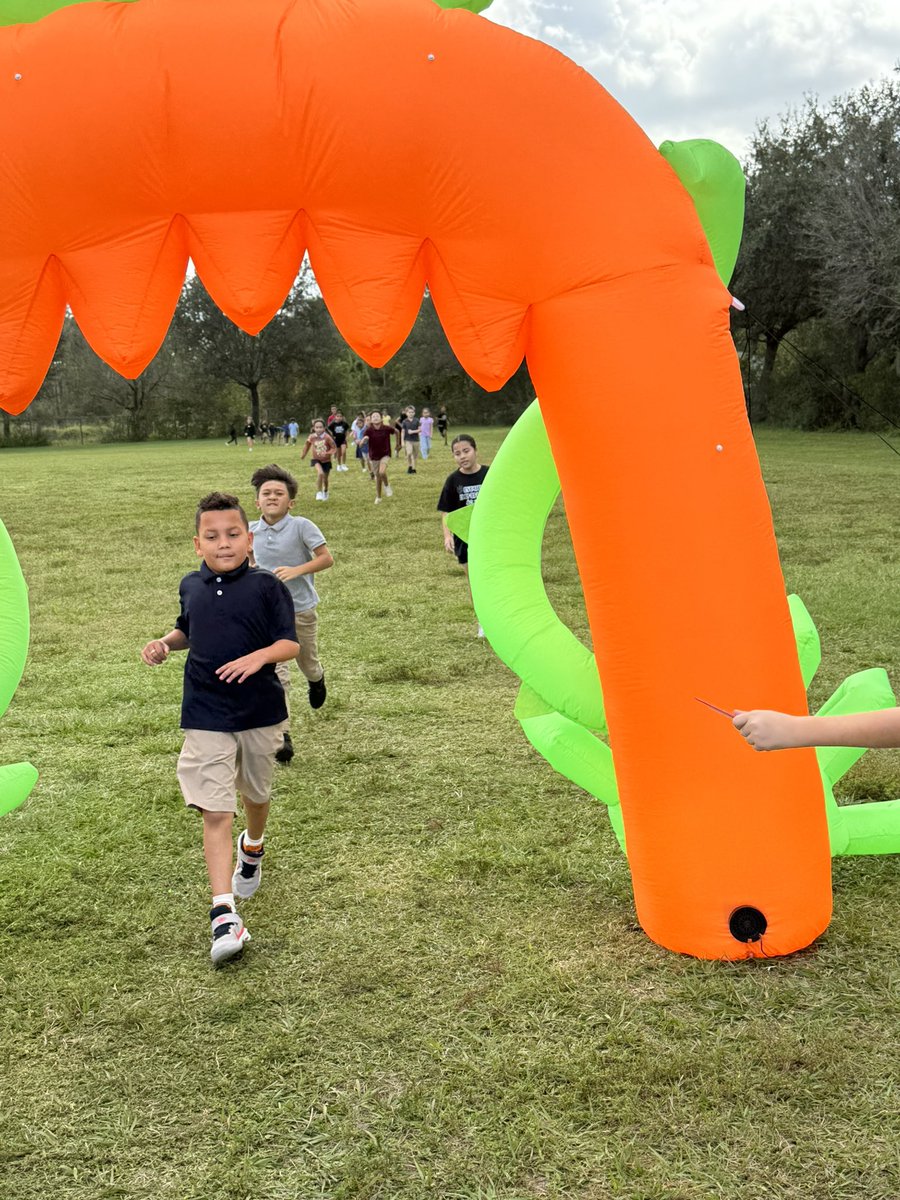 Coach Herrera, Gaudio & Kannal tweet media