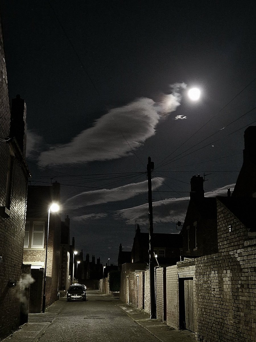 Marek Bidwell 🇺🇦 tweet media