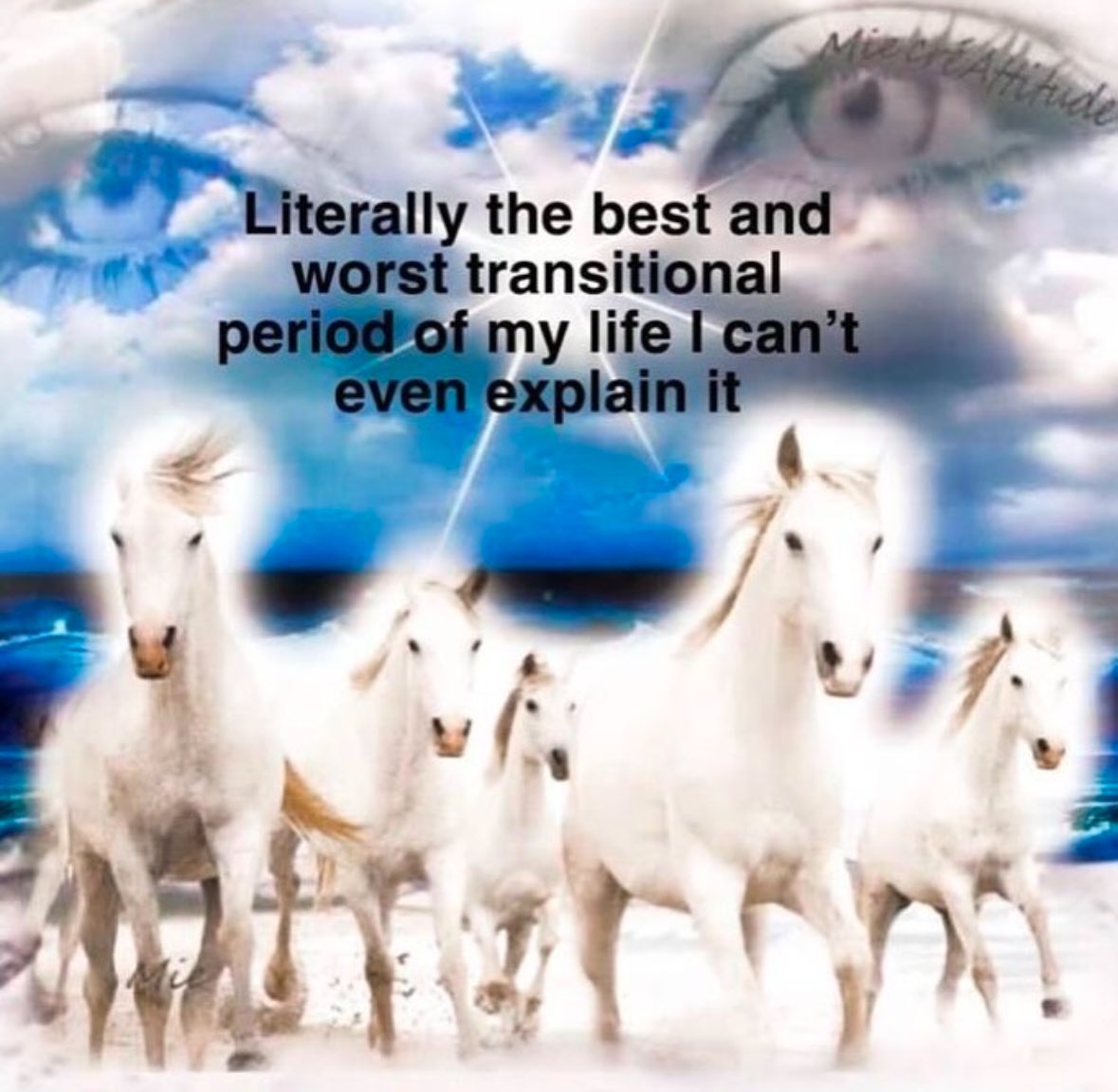 northstardoll's tweet image. 