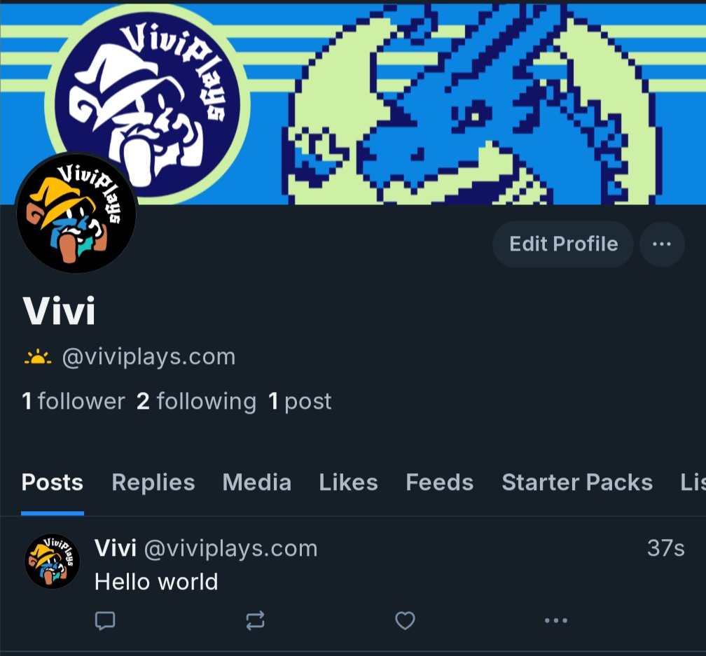 ViviPlays tweet media