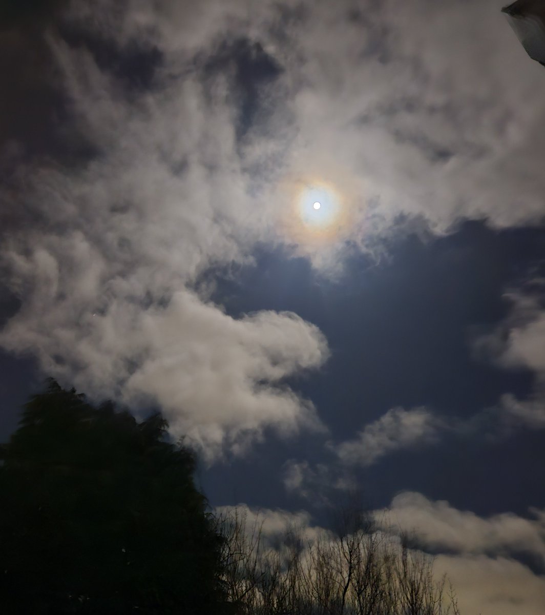 vikki_dodds's tweet photo. The Moon is so bright tonight. #Sensational #nofilter #moon https://t.co/4akv5jvj06
