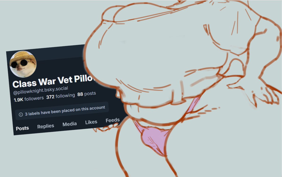 Pillow (Now on BSKY!) tweet media