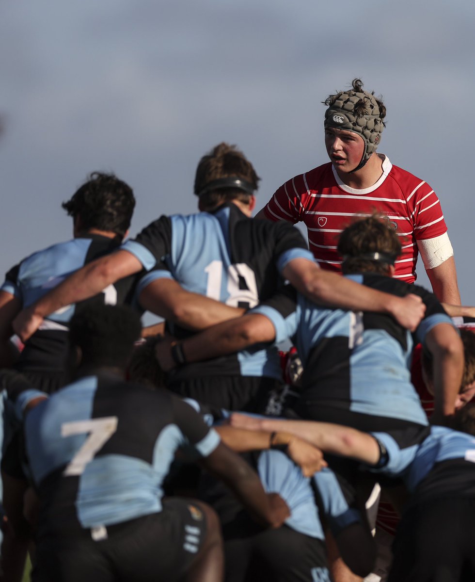 Radley Sports tweet media