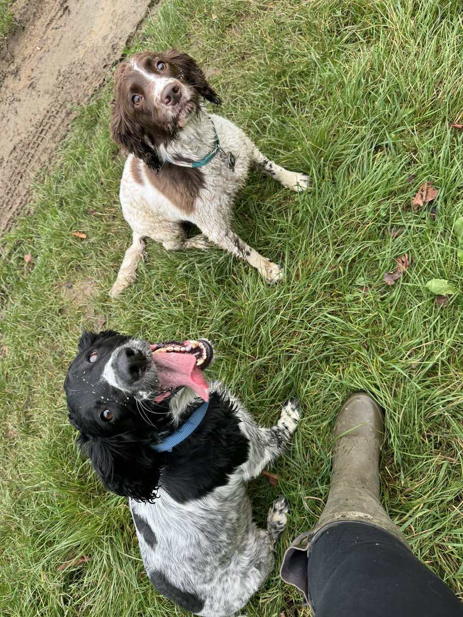 Basil 🌿 ‘Batman’ & Maggie Moo🐮Mar tweet media