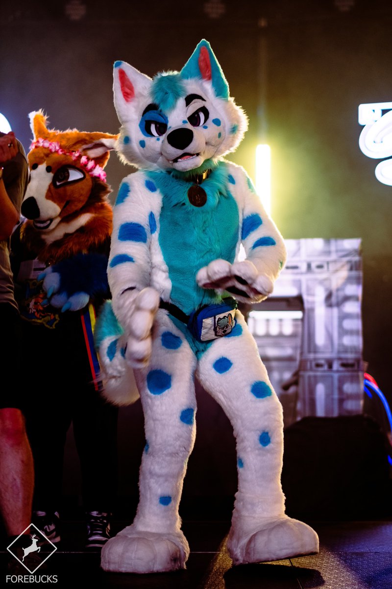 Luke Spots 🔜 LVFC DD tweet media