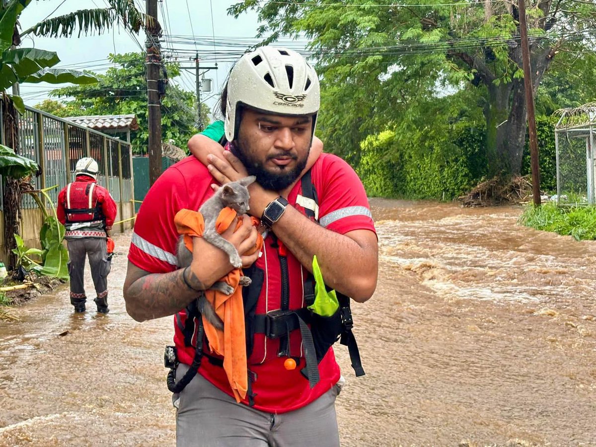 IFRC_es's tweet photo. Trabajamos sin descanso para poner la gente a salvo de las inundaciones en Honduras, Colombia, Costa Rica y Panamá. 

Los cuatro países siguen bajo alerta y cientos de cruzrrojistas seguirán apoyando rescates, evacuaciones y entregas de ayuda ⛑️❤️ https://t.co/srgE6uSy6h