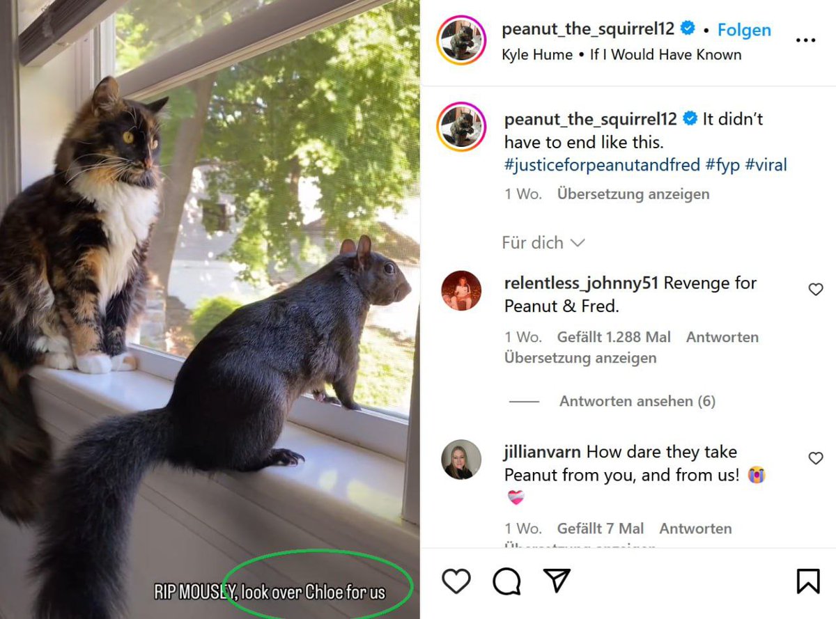 Nothing ◎ tweet media