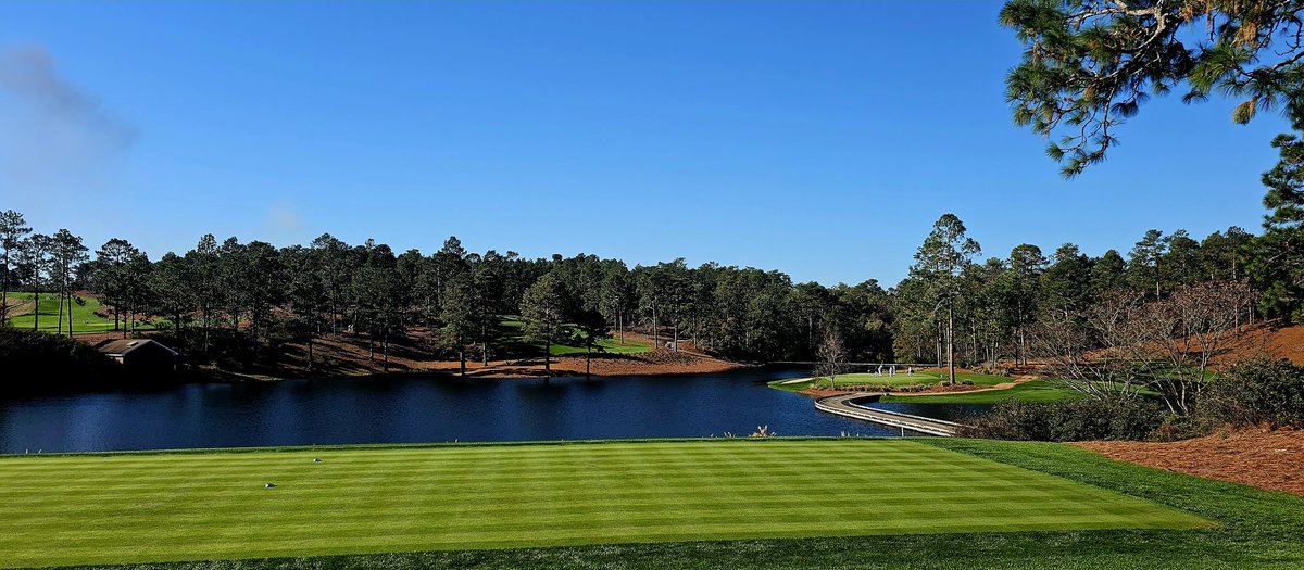 As if Sage Valley could get any better they started doing tree work for plant health and to open views across the property. Initial work is very good. Still some holes to go.  All the best.