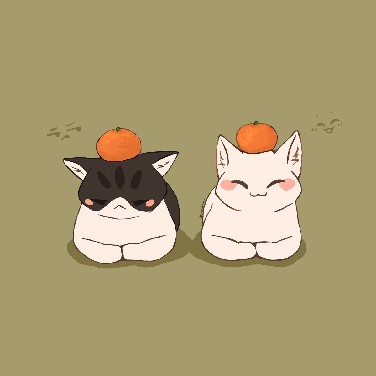 one of these silly cats wasn’t a fan of the orange