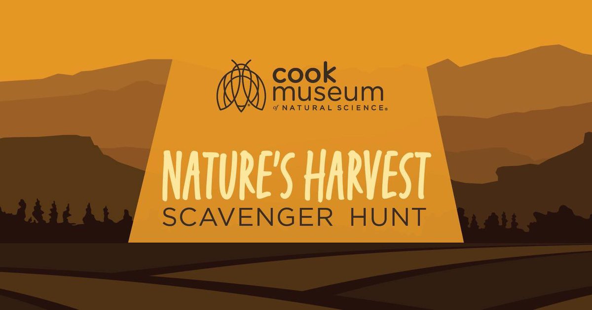 cookmuseum's tweet photo. Foraging, hunting, scavenging - animals &amp; insects search through the vast variety of food they find &amp; reap the harvest. Come take part in this fall scavenger hunt to learn about different animals’ relationships with food. November 25-30. Sponsored by iHeart Media. #cookmuseum https://t.co/QjqVReLKFK