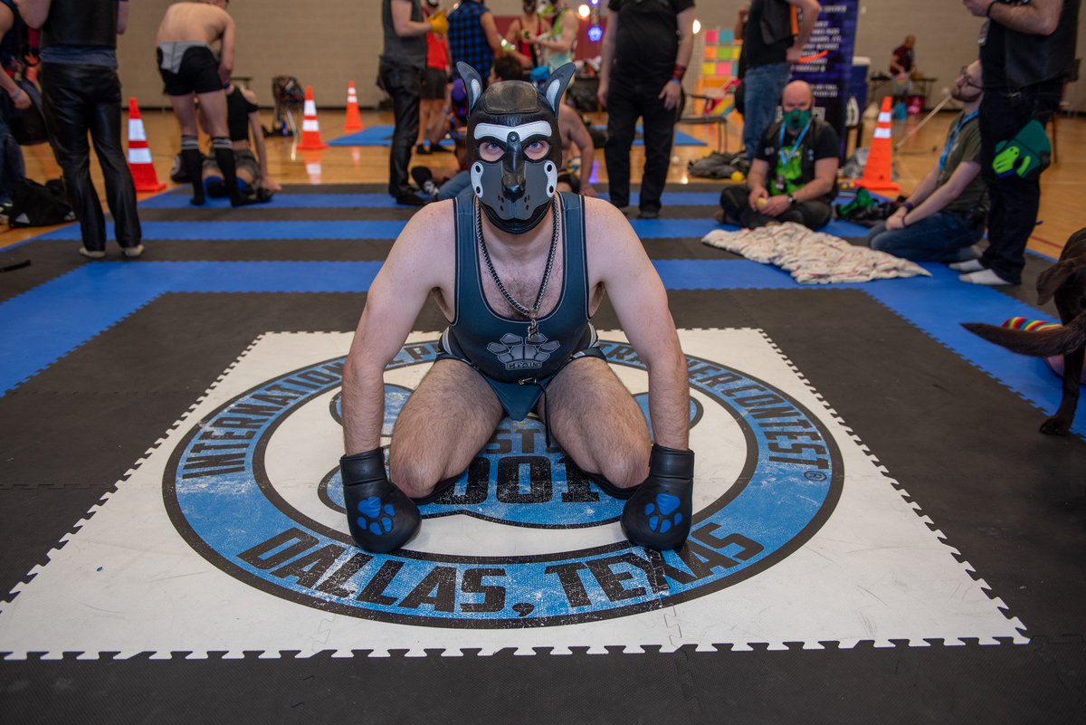 DeltaDiogenesAD's tweet photo. Barks from IPTC earlier this year!
📸: @KinkandClick https://t.co/fwLeBdO7Yz