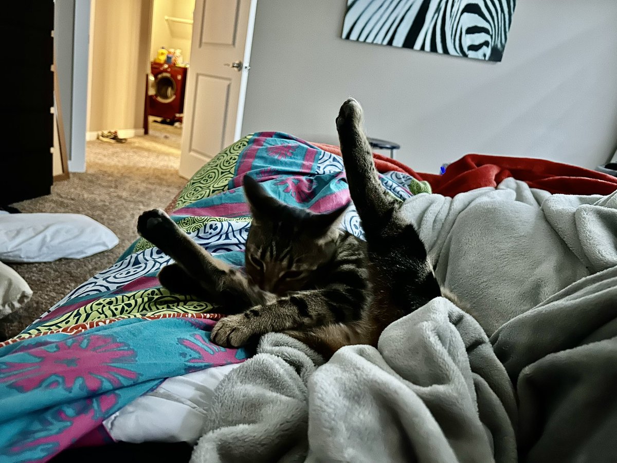 What a view this morning