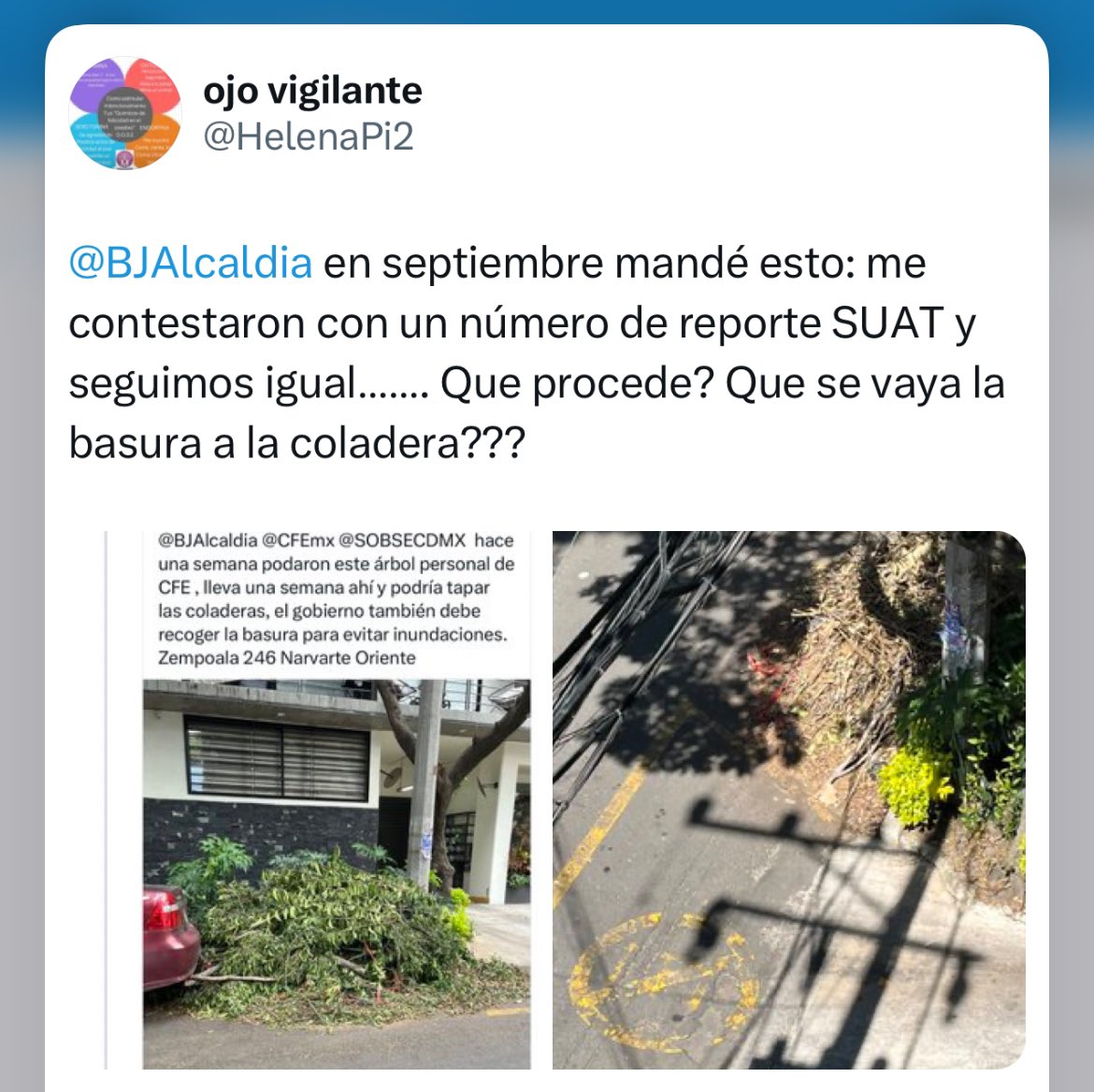 ojo vigilante tweet media