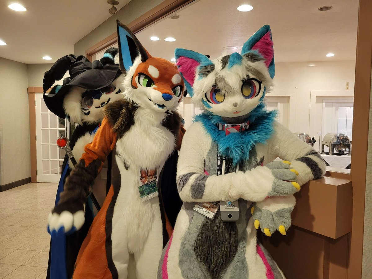 Happy #FursuitFriday everybody! 🐕: <a href="/IndratheSecond/">Indra the Second</a>  <a href="/OwOmaii/">ටᗰᗩii</a>  #Kemono #kemonoline