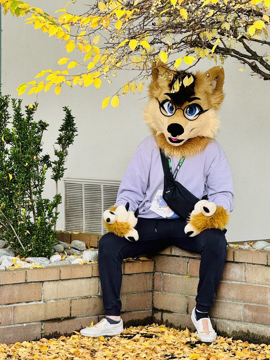 fluffypuppyrex's tweet photo. We balling on #fursuitfriday https://t.co/VvPATz8Lnd
